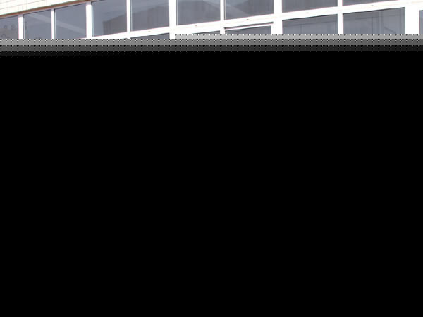 黑鎢礦濕式磁選機